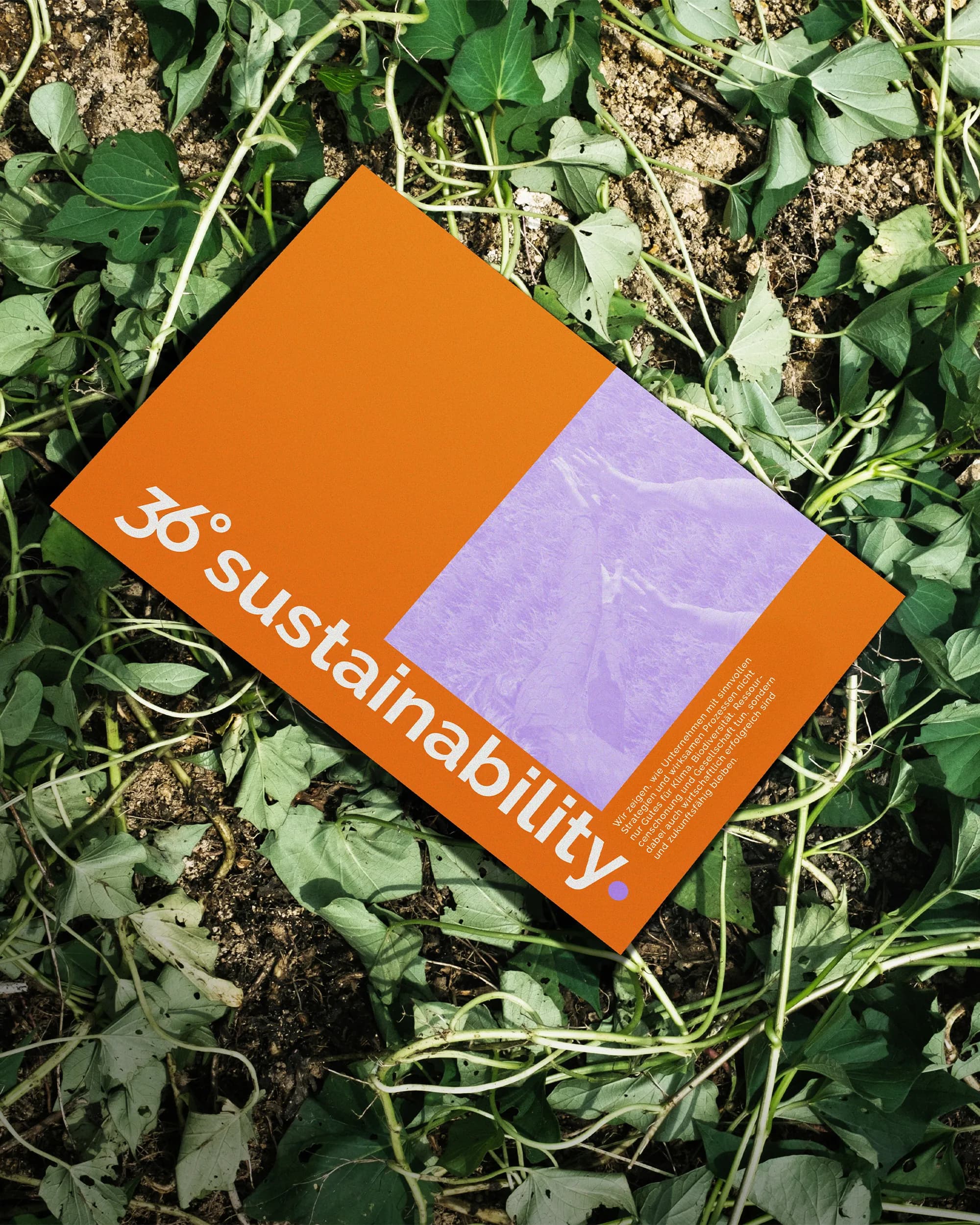 36° sustainability